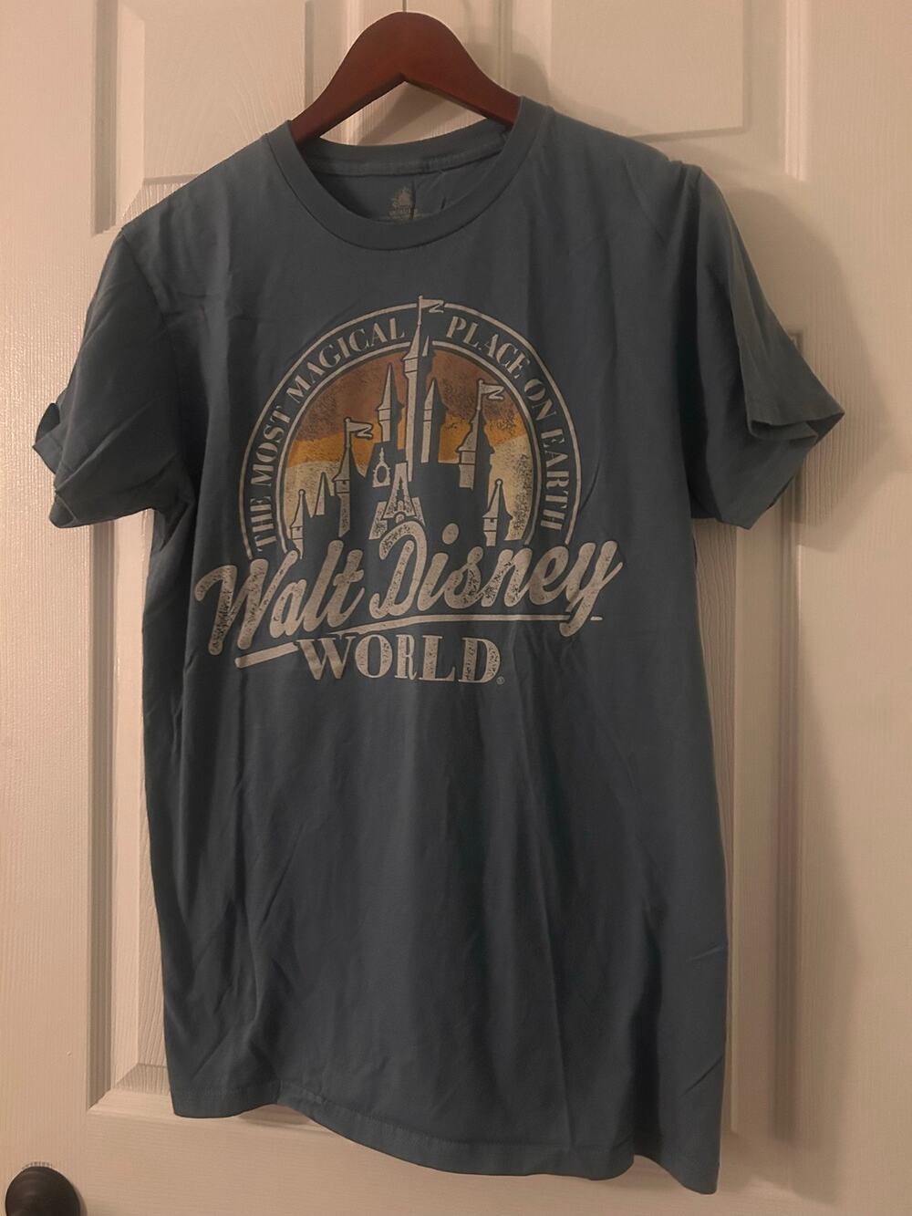 Disney World Shirt Large L Mens Blue Vintage Sunset Castle Magical Place Park